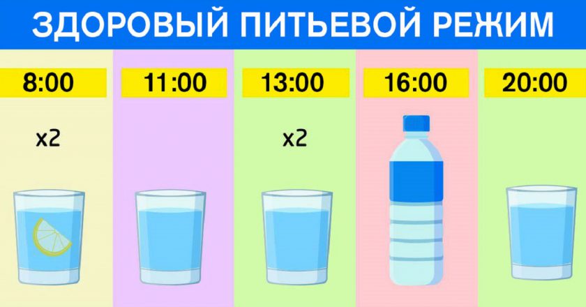 Питьевой режим и баланс воды в организме